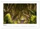 Thumbnail-10