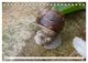 Thumbnail-12