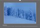 Thumbnail-11