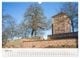 Thumbnail-8