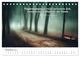 Thumbnail-13