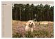 Thumbnail-9
