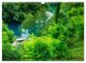 Thumbnail-9