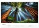 Thumbnail-10