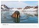 Thumbnail-14