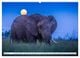 Thumbnail-9