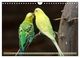 Thumbnail-14