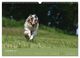 Thumbnail-14