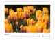 Thumbnail-10