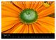 Thumbnail-10