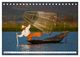 Thumbnail-7