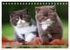 Thumbnail-14