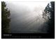 Thumbnail-14