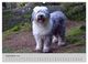Thumbnail-11