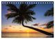 Thumbnail-14