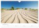 Thumbnail-14