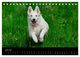 Thumbnail-8