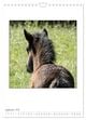 Thumbnail-14