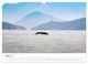 Thumbnail-10