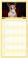 Thumbnail-11