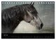 Thumbnail-12