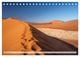 Thumbnail-14