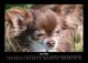 Thumbnail-10