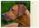 Thumbnail-12