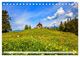 Thumbnail-10