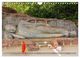 Thumbnail-14