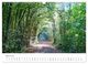 Thumbnail-9