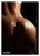 Thumbnail-11