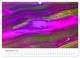 Thumbnail-14