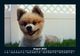 Thumbnail-12