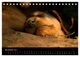 Thumbnail-13