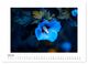 Thumbnail-12