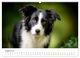 Thumbnail-12