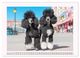 Thumbnail-14