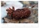 Thumbnail-14