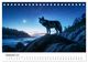 Thumbnail-14