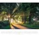 Thumbnail-9