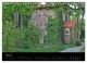 Thumbnail-9