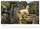 Thumbnail-10