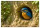 Thumbnail-8