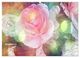 Thumbnail-14