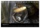 Thumbnail-14