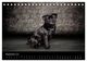 Thumbnail-11