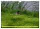 Thumbnail-9