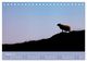 Thumbnail-10