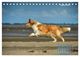 Thumbnail-10